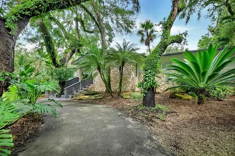 6565 SW 134th Drive Pinecrest FL 33156
