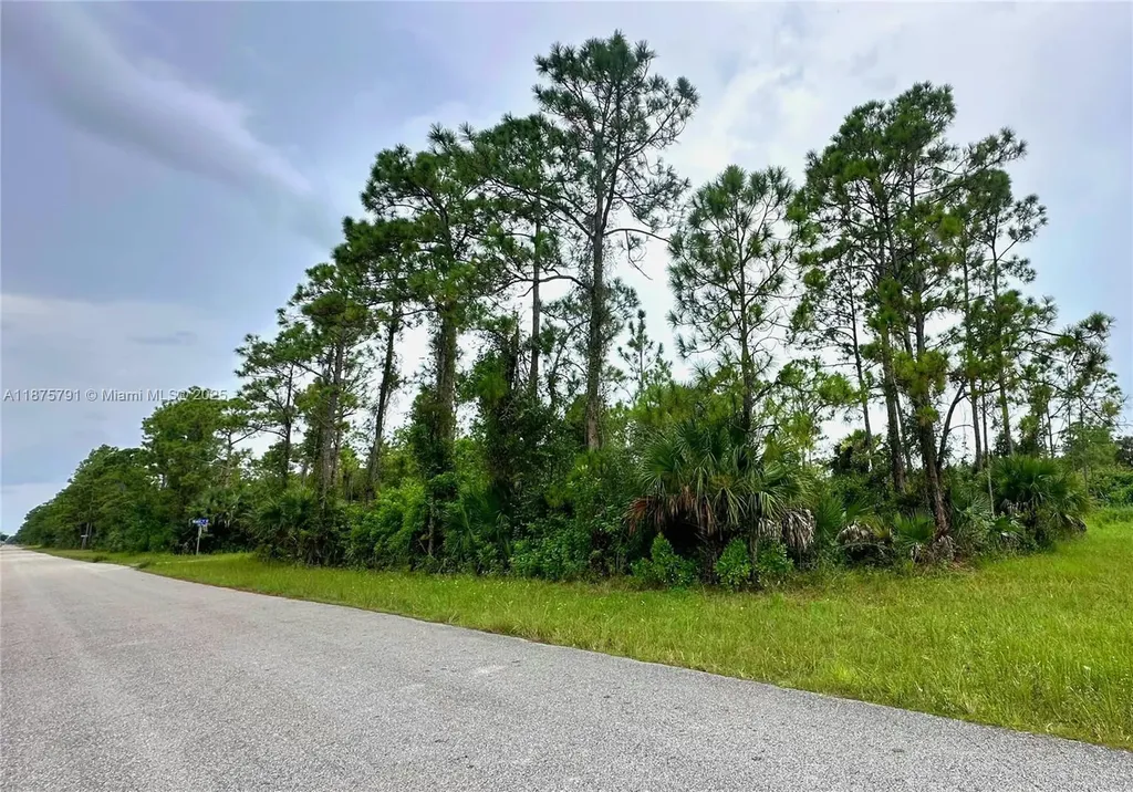 1247 Rake Street E Lehigh Acres FL 33974