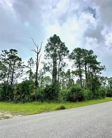 1247 Rake Street E Lehigh Acres FL 33974
