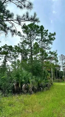 1247 Rake Street E Lehigh Acres FL 33974