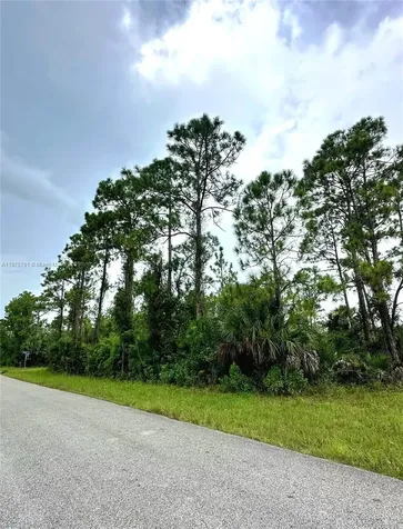 1247 Rake Street E Lehigh Acres FL 33974
