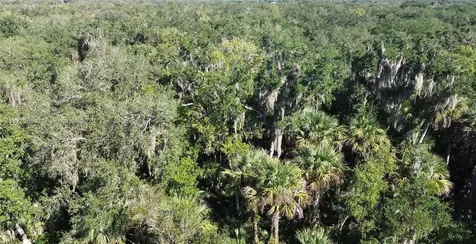 21229 NW 252 Street Okeechobee FL 34972