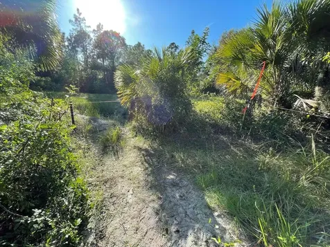 635 S Estribo Street Clewiston FL 33440