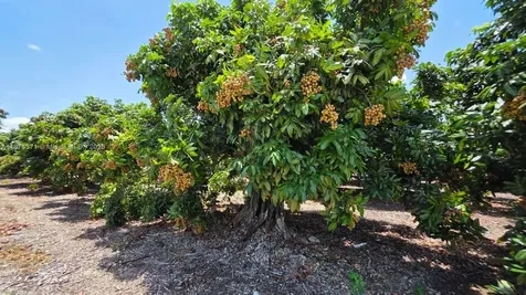 20970 SW 296 Street Homestead FL 33030