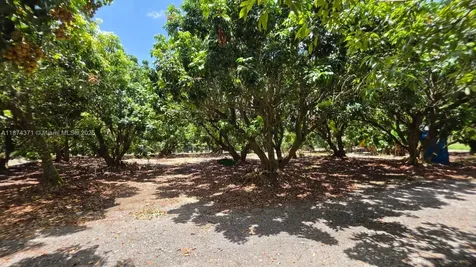 20970 SW 296 Street Homestead FL 33030