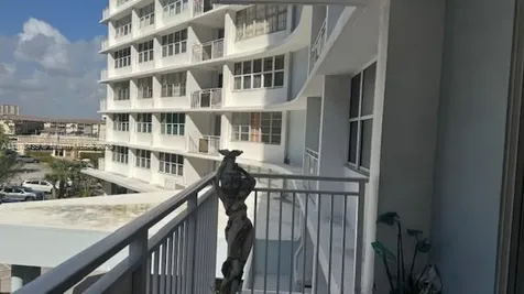 Hallandale Beach FL 33009