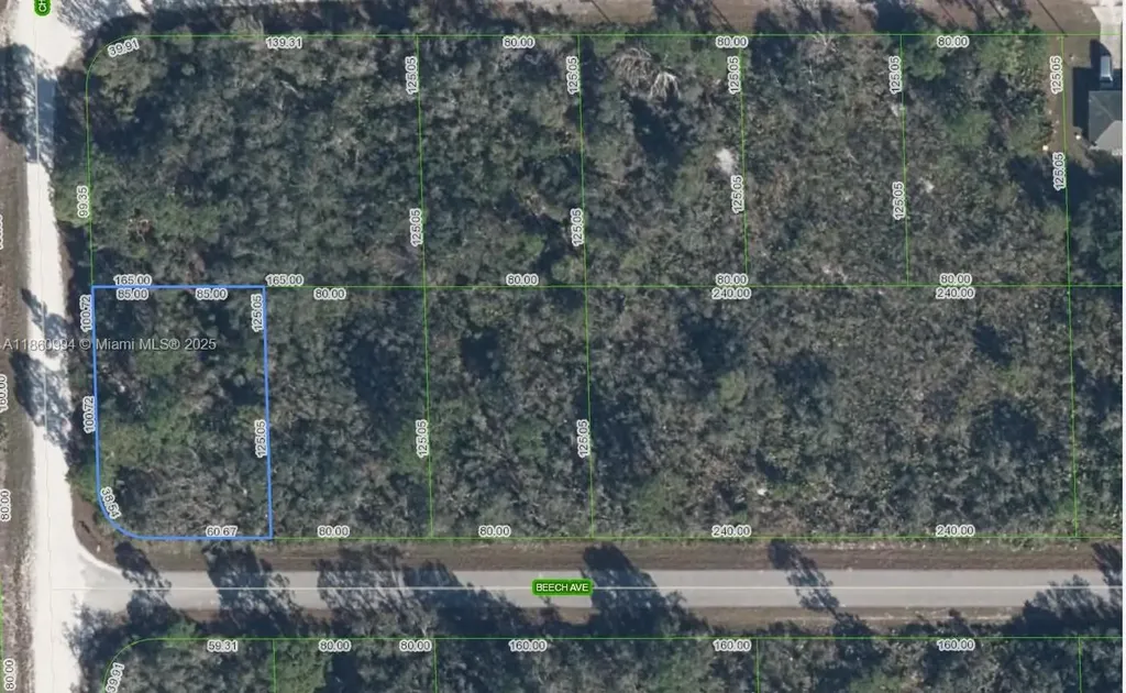 3031 Beech Avenue Lake Placid FL 33852