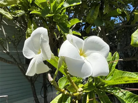 12020 Iguana Bay Boynton Beach FL 33436