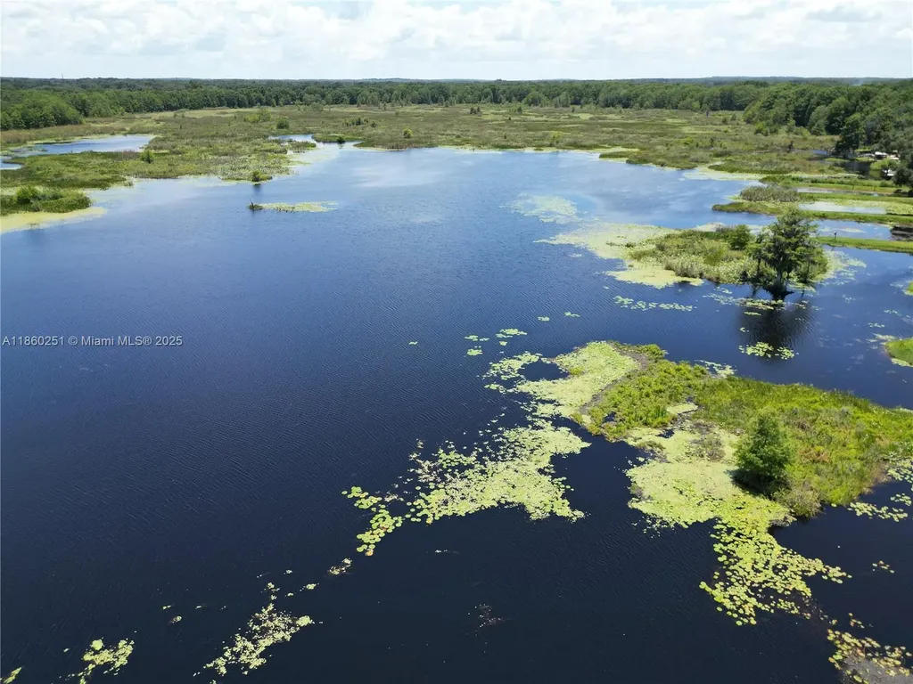 8781 S Lakeshore Drive Floral City Other City - In The State Of Florida FL 34436