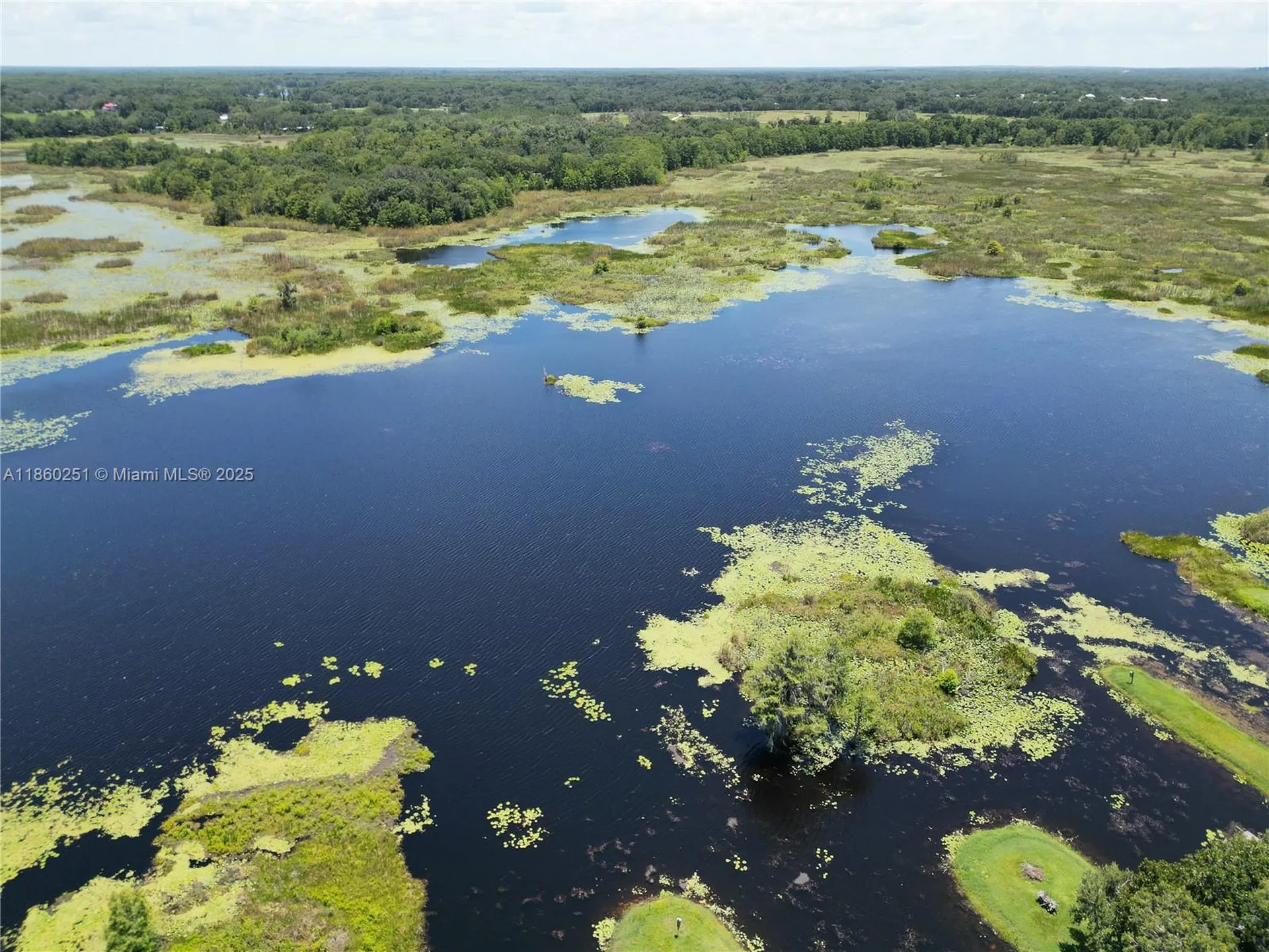 8781 S Lakeshore Drive Floral City Other City - In The State Of Florida FL 34436
