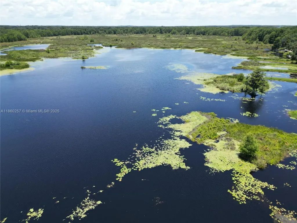 8781 S Lakeshore Drive Floral City Other City - In The State Of Florida FL 34436