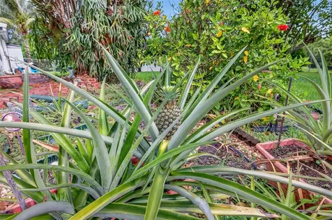 5240 Redwood Court Plantation FL 33317