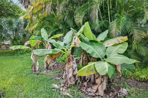 5240 Redwood Court Plantation FL 33317