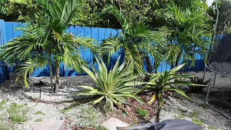 4641 NE 1st Avenue Deerfield Beach FL 33064