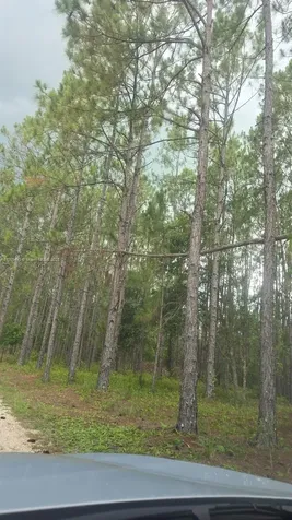 Lakeland FL 33868