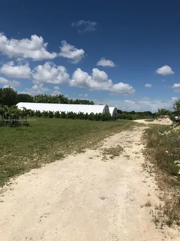 Miami FL 33187