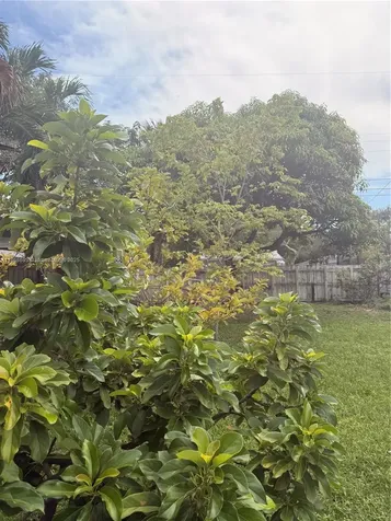 1060 NW 121st Street North Miami FL 33168