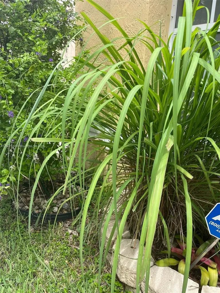 11103 NW 46 Drive Coral Springs FL 33076