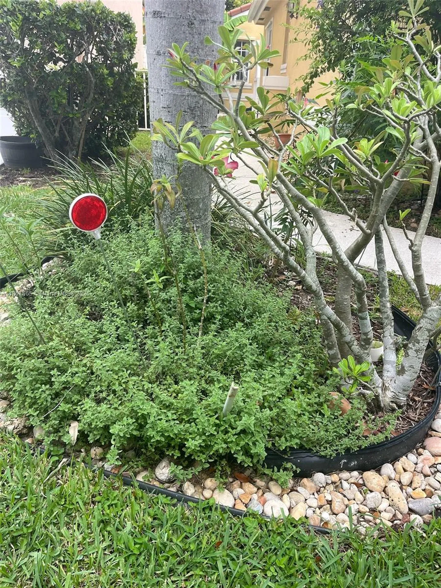 11103 NW 46 Drive Coral Springs FL 33076
