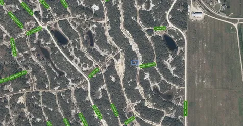 238 Dargen Drive Lake Placid FL 33852