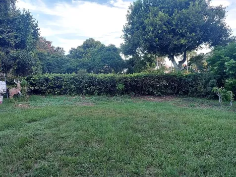 12130 NW 56th Court Coral Springs FL 33076