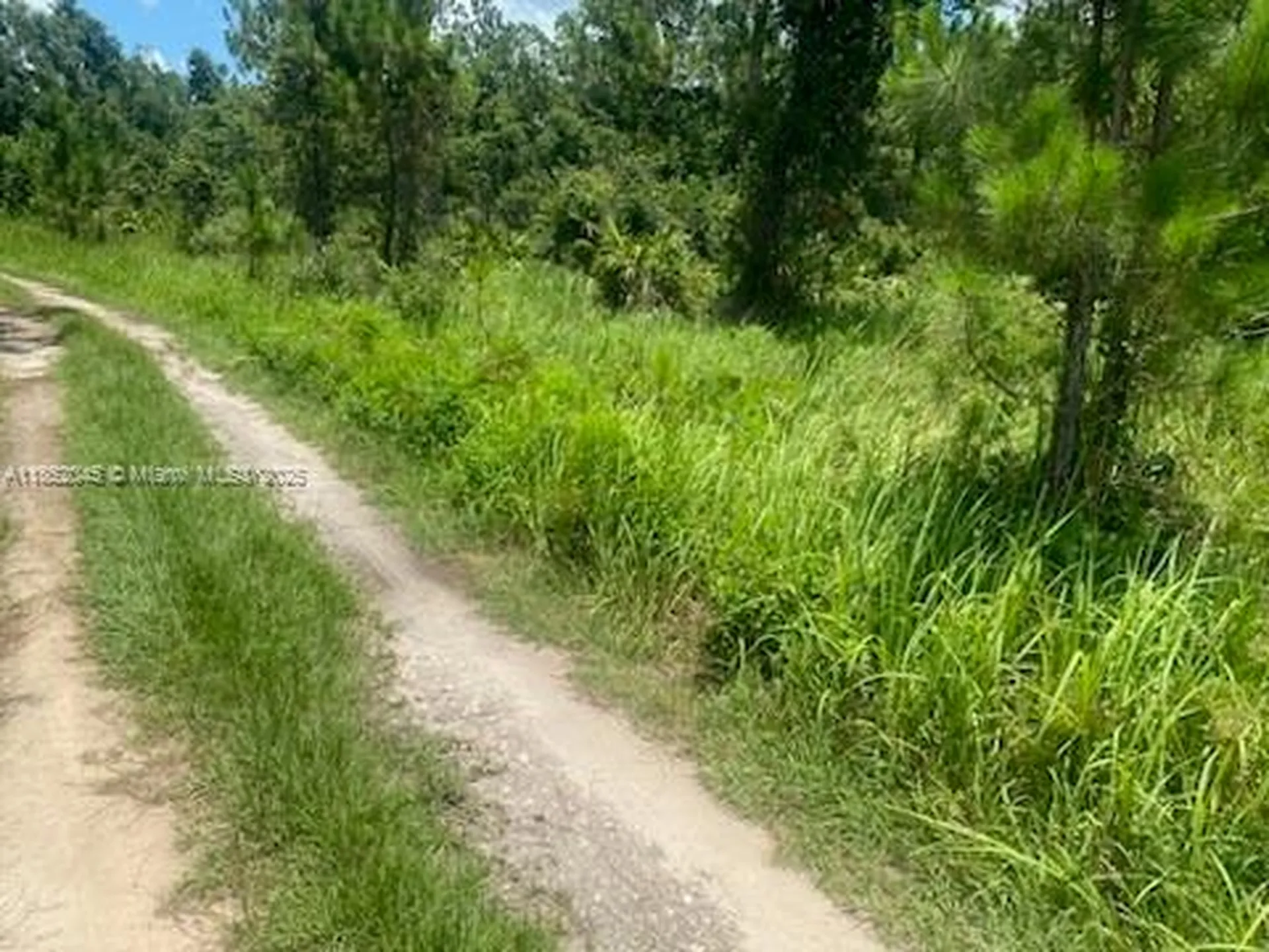 0 Deen Still Road E Other City - In The State Of Florida FL 33868