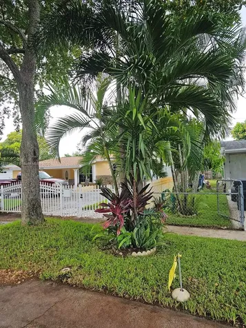 6521 Moseley Street Hollywood FL 33024