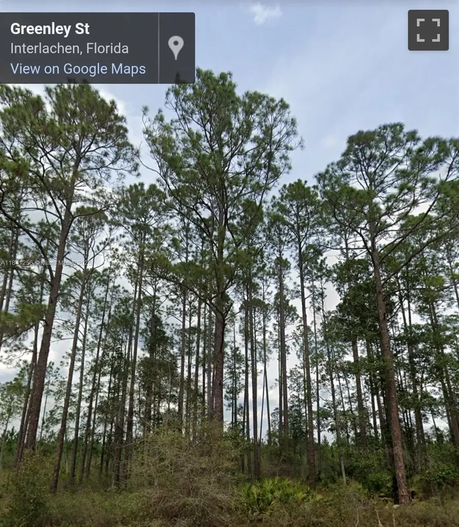 00 Greenley Street Palatka FL 32148