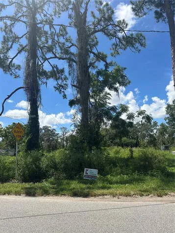 257 Moon Glow Other City - In The State Of Florida FL 33852
