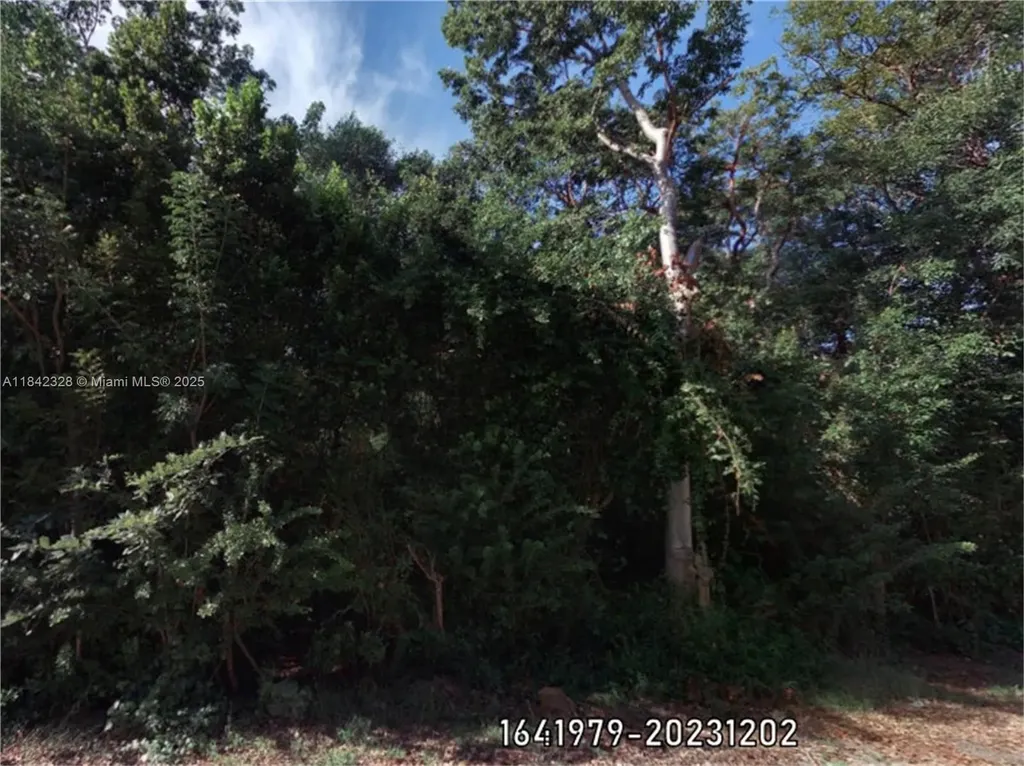 00 Poinsetta Other City - In The State Of Florida FL 33037