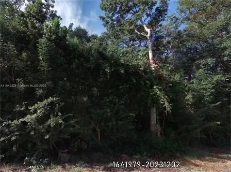 00 Poinsetta Other City - In The State Of Florida FL 33037