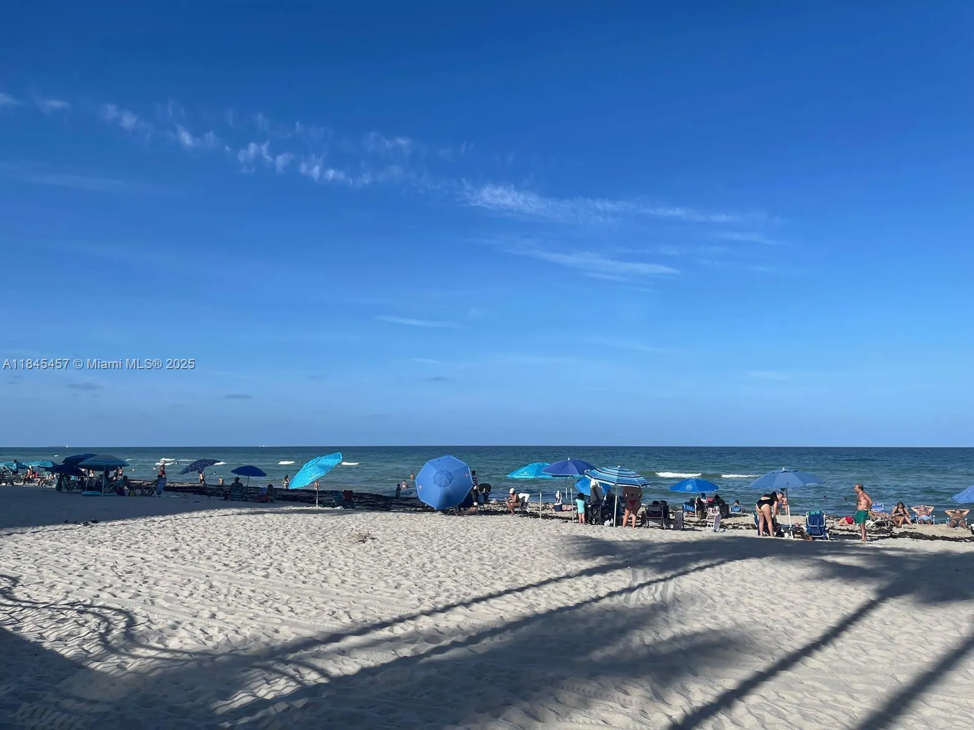 3901 S Ocean Drive Hollywood FL 33019