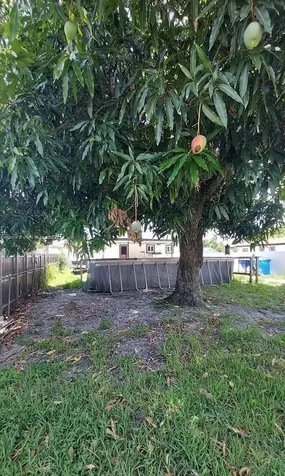 2915 NW 60th Street Miami FL 33142