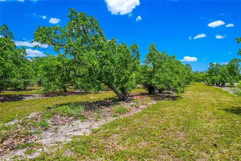 254XX SW 217ave Homestead FL 33031