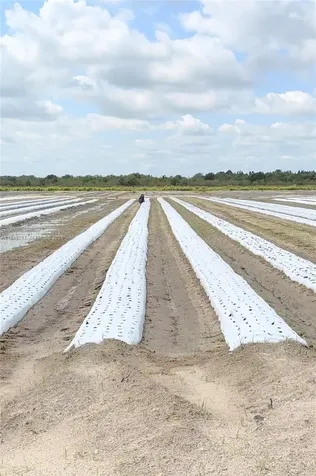 595 N Header Canal Road Fort Pierce FL 34945