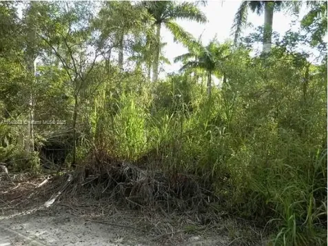 SW 212th Avenue Unincorporated Dade FL 33034