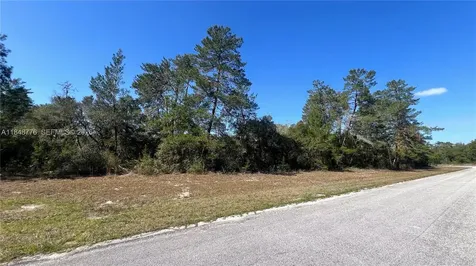 32ND Circle / Marion Oaks Boulevard Ocala FL 34473