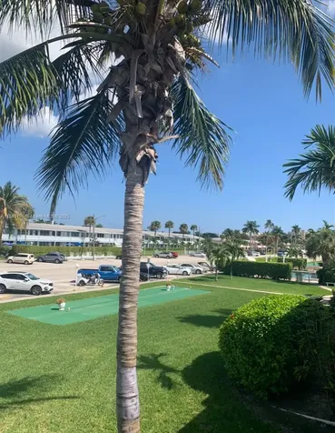 900 Atlantic Shores Boulevard Hallandale Beach FL 33009