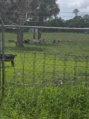648 Avenida Del Sur Clewiston FL 33440
