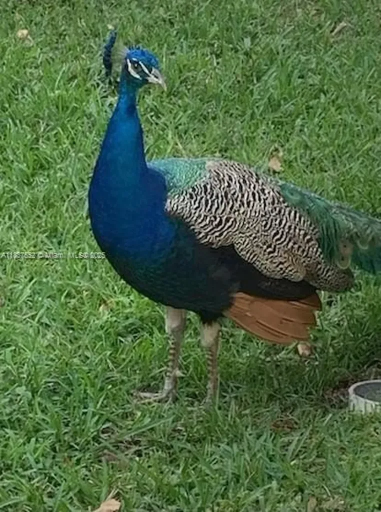 4603 Highgate Drive Delray Beach FL 33445