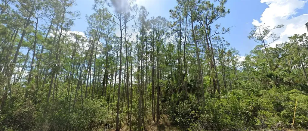 1903 Weller Avenue Lehigh Acres FL 33972