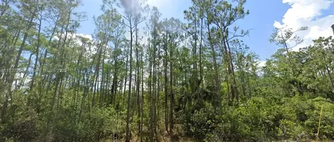 1903 Weller Avenue Lehigh Acres FL 33972