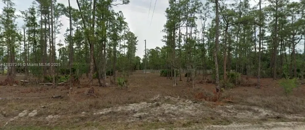 2005 E 13th Street Lehigh Acres FL 33971