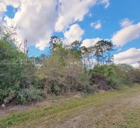 305 Yeehaw Avenue Clewiston FL 33040