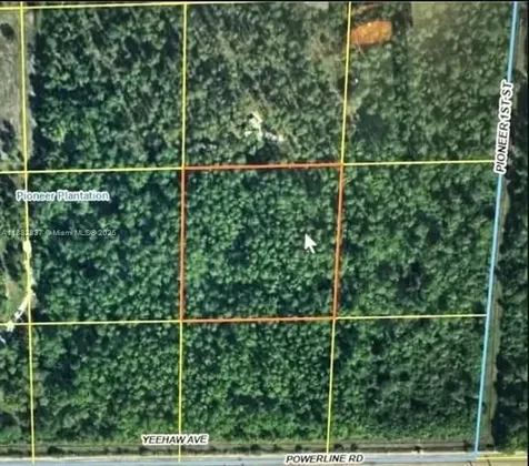 305 Yeehaw Avenue Clewiston FL 33040