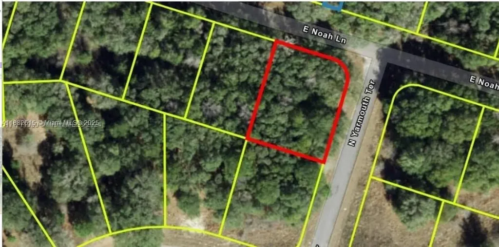 684 E Noah Lane Citrus Springs FL 34434
