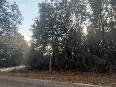 684 E Noah Lane Citrus Springs FL 34434