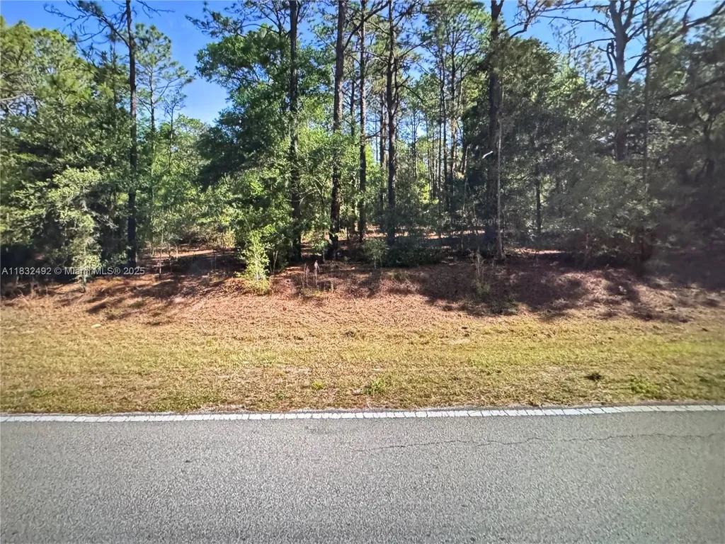Dunnellon S Undermined Other City - In The State Of Florida FL 34431
