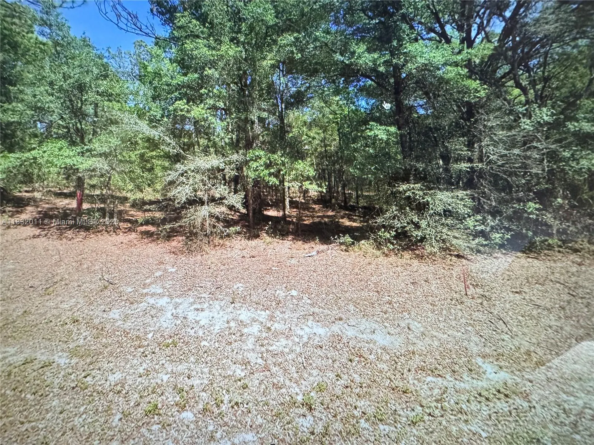 5565 SW SW 199th Court Other City - In The State Of Florida FL 34431