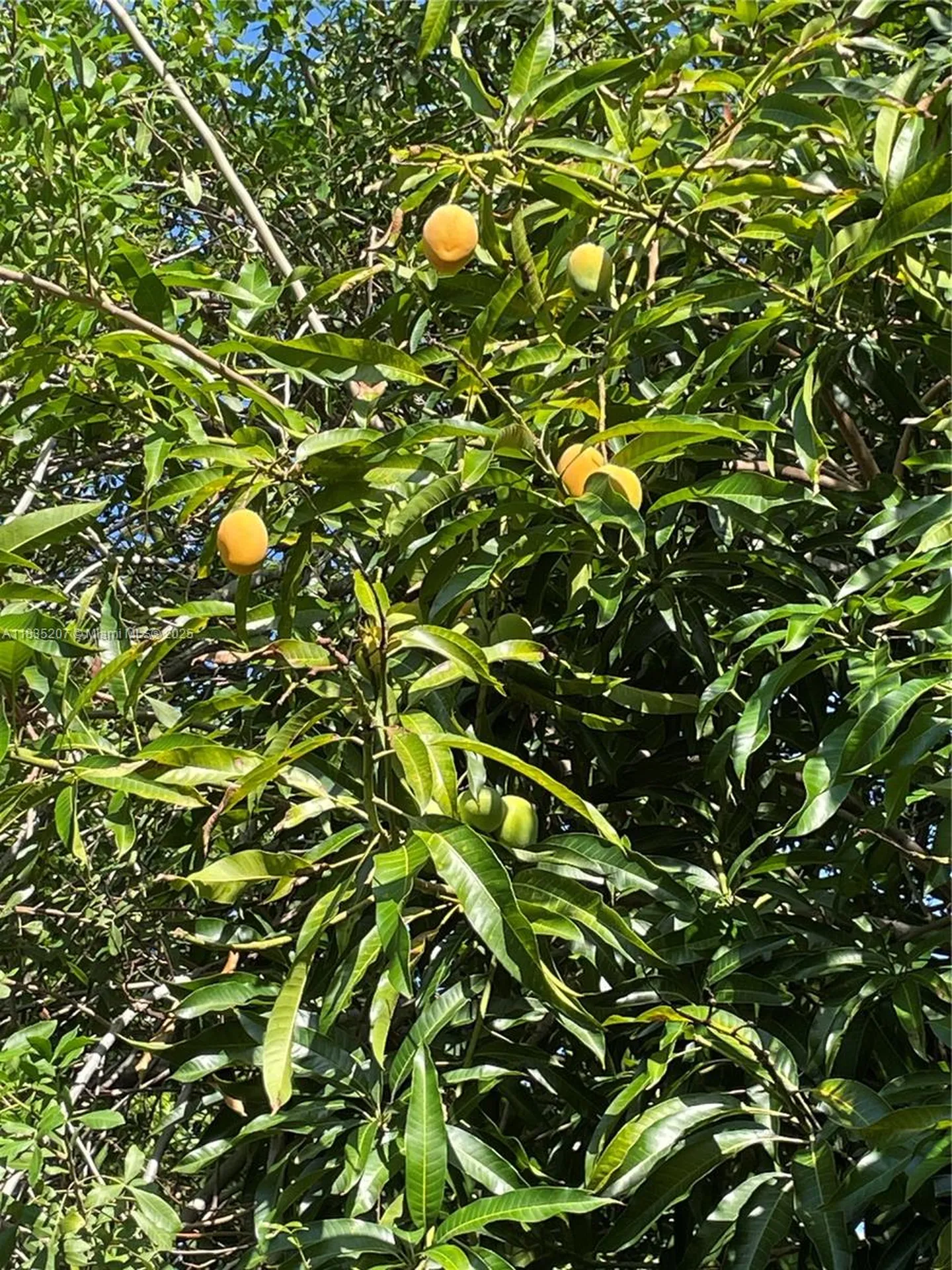 156 S NE 11th Street Boca Raton FL 33432